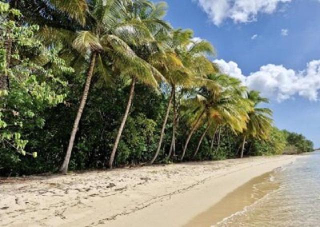 Touloukaera Appt 303 Plage Kawann Saint-Louis Экстерьер фото